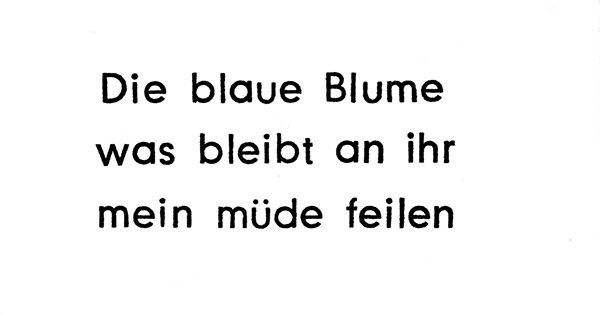 die blaue Blume